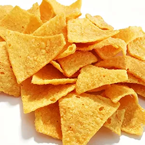Doritos Nacho & Tortilla Corn Chips Processing Line