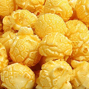 Popcorn Processing Line
