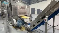 Extruded Corn Flake Processing Line