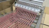 Meat Strips & Jerky Processing Line
