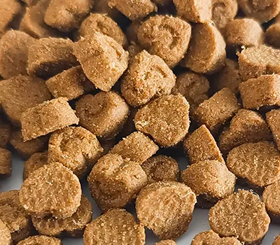 Baked Pet Food Processing Line