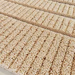 Cereal Bar Processing Line