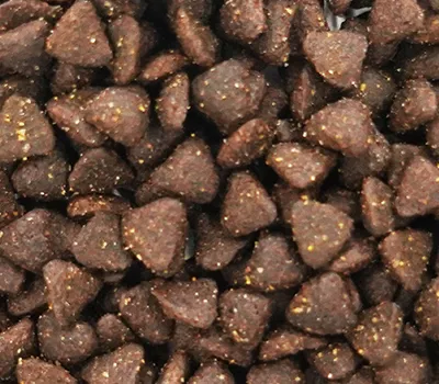 Dry Pet Food Processing Line