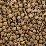 Dry Pet Food Production Line (100-800kg/h)