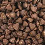 Dry Kibble Pet Food Production Line (1000-11000kg/h)