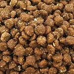 Dry Kibble Pet Food Production Line (1000-11000kg/h)