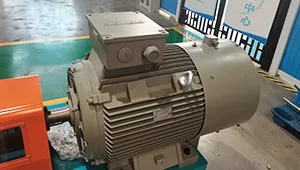 Snack Pellet Extruder