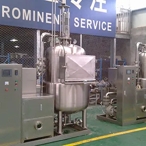 Vacuum Fryer