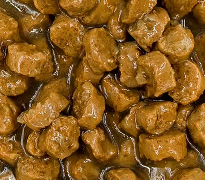 Wet Pet Food Processing Line